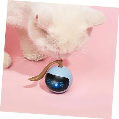 Jouet interactif électrique automatique pour chatons