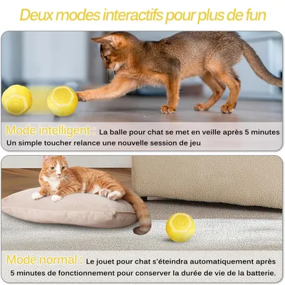 Living123 Bille interactive pour chat