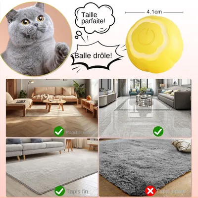 Living123 Bille interactive pour chat