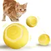 Living123 Bille interactive pour chat