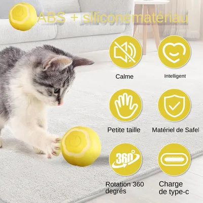 Living123 Bille interactive pour chat