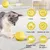 Living123 Bille interactive pour chat