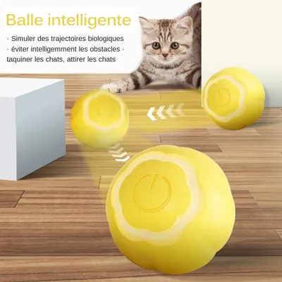 Living123 Bille interactive pour chat