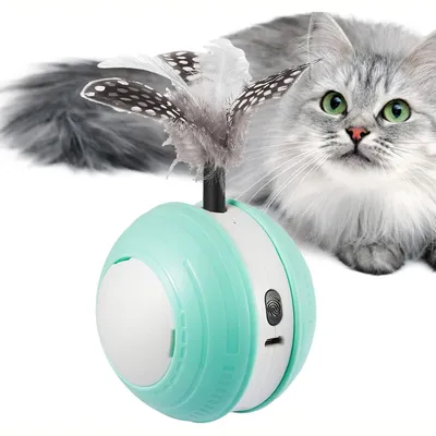 Jouet interactif balle électrique pour chat