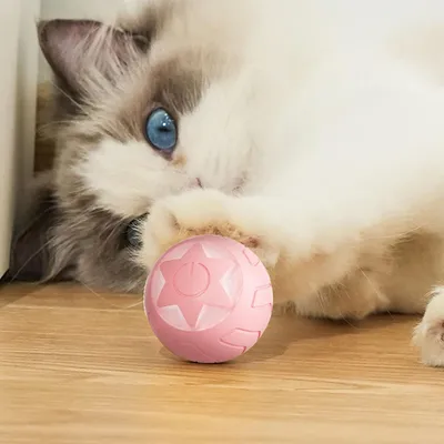 Living123 Jouet à roulettes pour chat - Star Planet