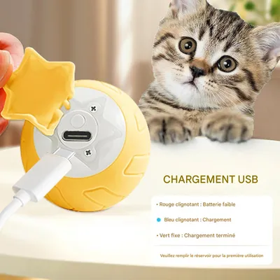 Living123 Jouet à roulettes pour chat - Star Planet