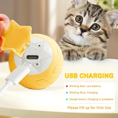 Living123 Jouet à roulettes pour chat - Star Planet