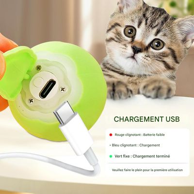 Living123 Bille interactive pour chat