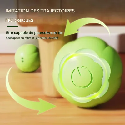 Living123 Bille interactive pour chat