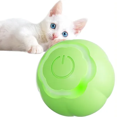 Living123 Bille interactive pour chat Living123 Bille interactive pour chat