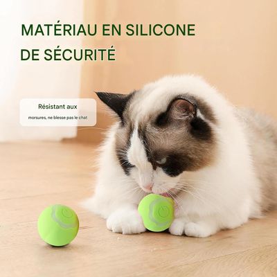 Living123 Bille interactive pour chat