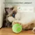 Living123 Bille interactive pour chat