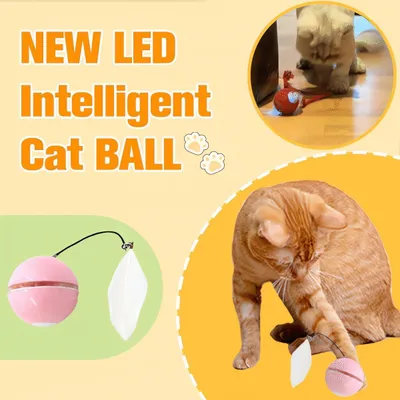 Automatic LED Intelligent Cat Ball, Interactive