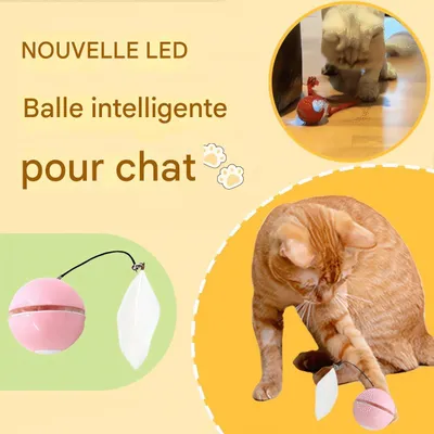 Automatic LED Intelligent Cat Ball, Interactive
