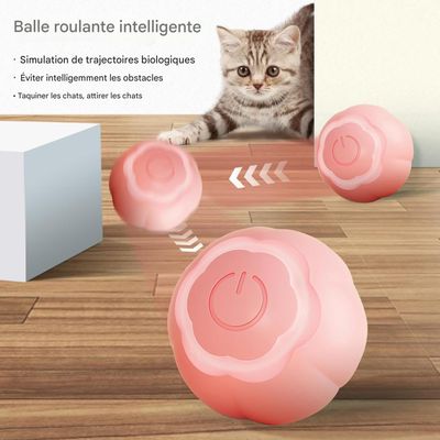 Living123 Bille interactive pour chat