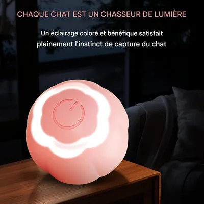 Living123 Bille interactive pour chat