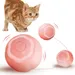 Living123 Bille interactive pour chat