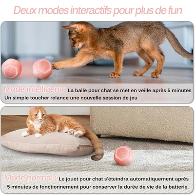 Living123 Bille interactive pour chat