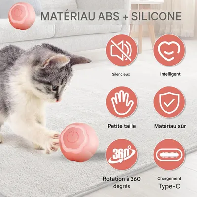 Living123 Bille interactive pour chat