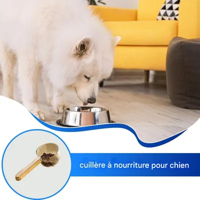 Living123 Cuillère à nourriture pour chiens et chats