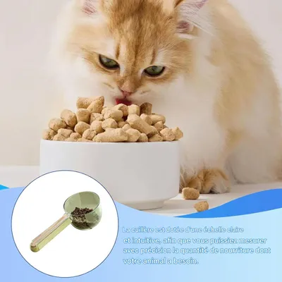 Living123 Cuillère à nourriture pour chiens et chats