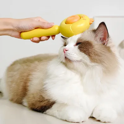 Living123 Brosses pour chiens et chats