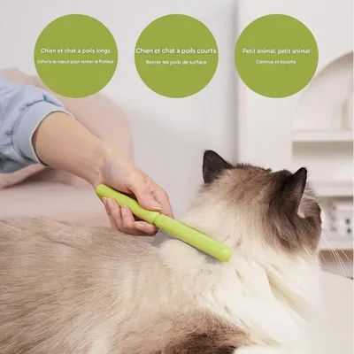Brosse de toilettage pour chat Équilibrée pour la peau du chat