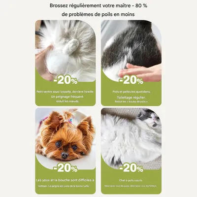 Brosse de toilettage pour chat Équilibrée pour la peau du chat