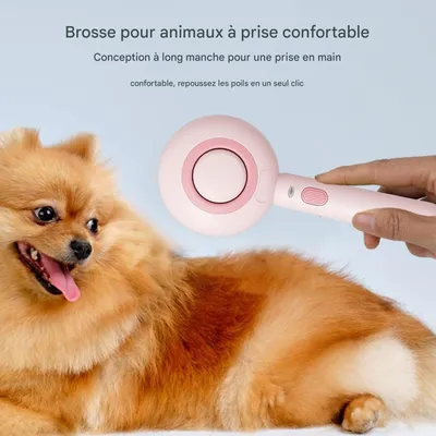 Living123 Brosse de toilettage 3 en 1 pour chat