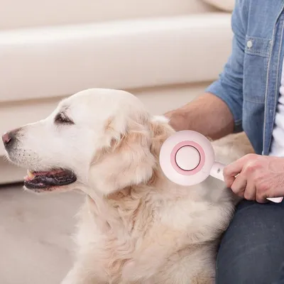 Living123 Brosse de toilettage 3 en 1 pour chat