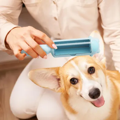 Living123 Brosse anti - poils pour chat et chien