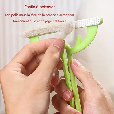 Épilateur portatif pour nettoyer poils d'animaux de compagnie