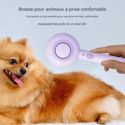 Living123 Brosse de toilettage 3 en 1 pour chat