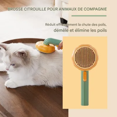 Living123 Peigne pour animaux de compagnie - Démêle les poils