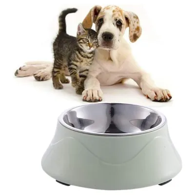 Bol en acier inoxydable pour chien et chat