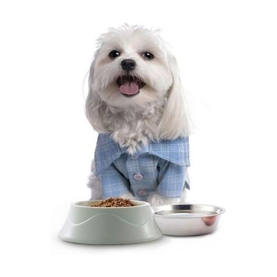 Bol en acier inoxydable pour chien et chat