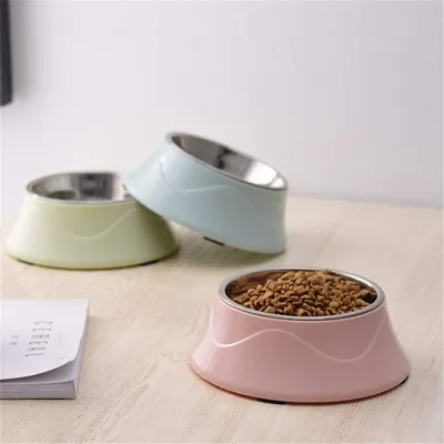 Bol en acier inoxydable pour chien et chat
