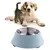Bol en acier inoxydable pour chien et chat