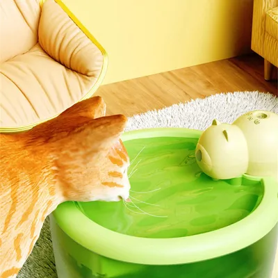 Living123 Fontaine à eau pour chat