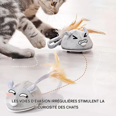 Jouet souris floquée rechargeable par USB pour chats