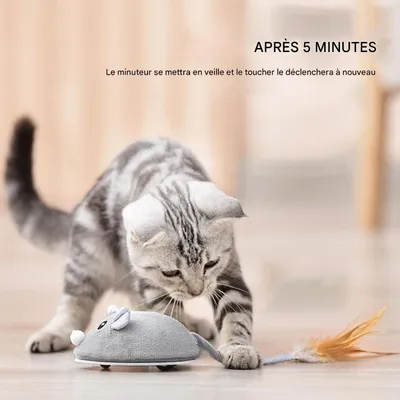 Jouet souris floquée rechargeable par USB pour chats