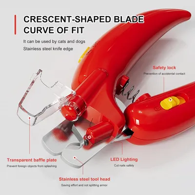 Ciseaux coupe-griffes pour chien et chat