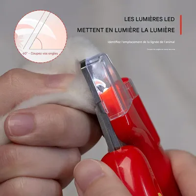 Ciseaux coupe-griffes pour chien et chat