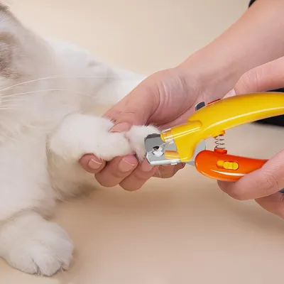 Ciseaux coupe-griffes pour chien et chat Ciseaux coupe-griffes pour chien et chat