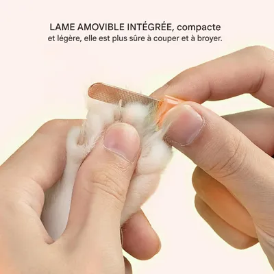 Ciseaux coupe-griffes pour chien et chat