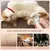 Living123 Ciseaux pour ongles de chats et chiens Living123 Ciseaux pour ongles de chats et chiens