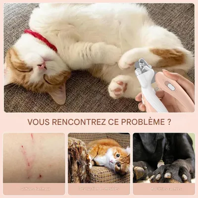 Living123 Ciseaux pour ongles de chats et chiens Living123 Ciseaux pour ongles de chats et chiens