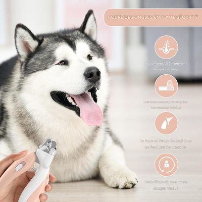 Living123 Ciseaux pour ongles de chats et chiens