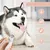 Living123 Ciseaux pour ongles de chats et chiens Living123 Ciseaux pour ongles de chats et chiens