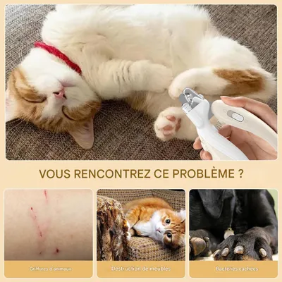 Living123 Ciseaux pour ongles de chats et chiens